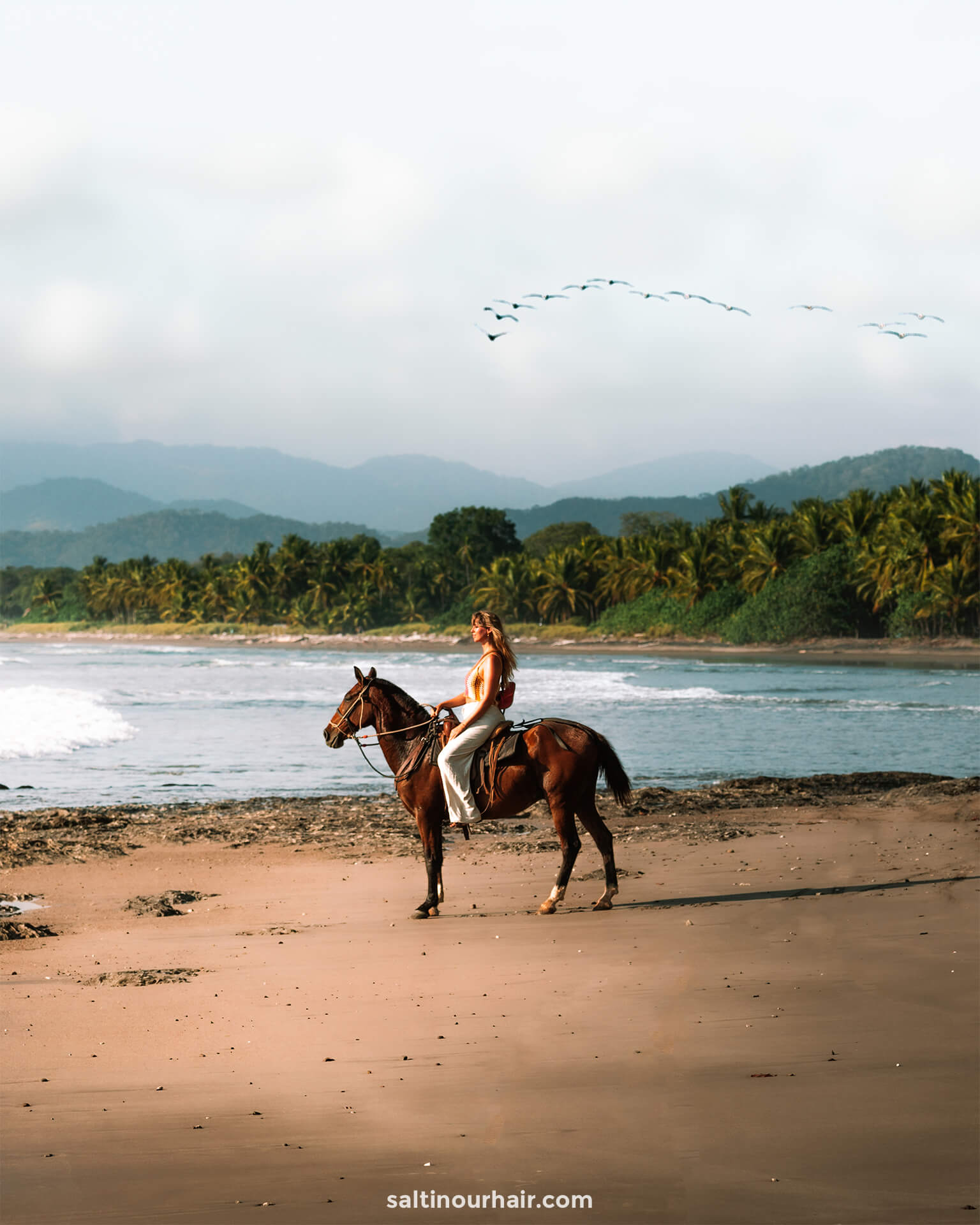 Santa Teresa Costa Rica Paardrijden