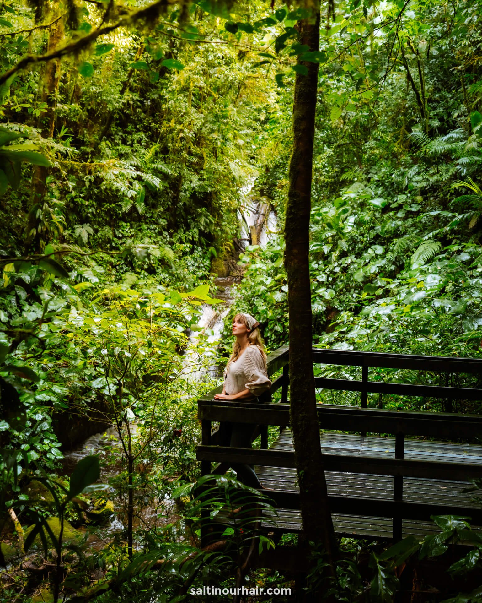Costa Rica 3 week itinerary cloud forest monteverde