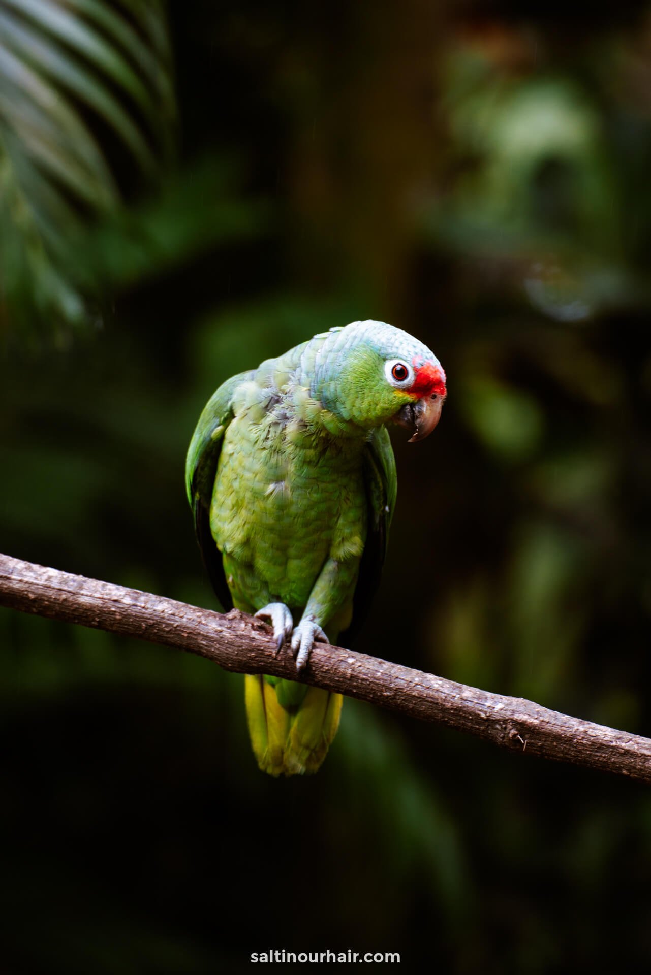 Itinéraire de deux semaines au Costa Rica : Guide de voyage ultime pour 2022