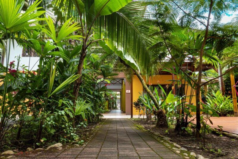 A stone pathway leads through lush tropical plants toward Pagalu Hostel, a welcoming building with yellow walls and large windows in Puerto Viejo.