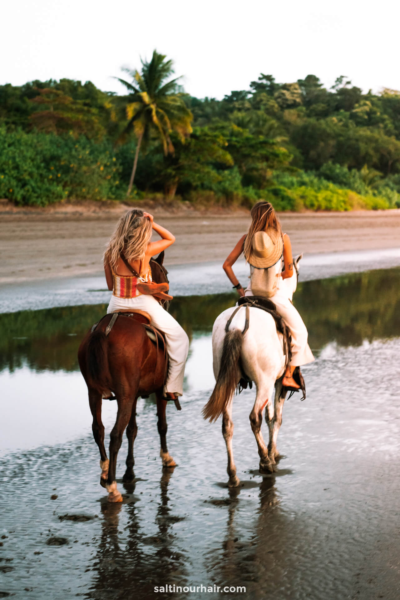 horseback riding work and travel
