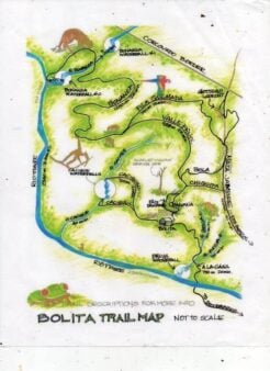 Bolita Rainforest Hostel