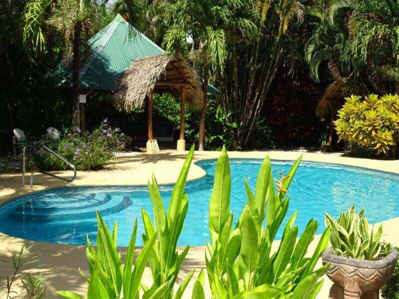 A round swimming pool surrounded by tropical plants with a thatched-roof gazebo and palm trees in the background on a sunny day, perfect for relaxing during an Indigo Yoga retreat or unwinding after surfing at a nearby surf resort.