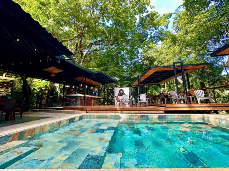 Outdoor pool with clear water in front of a shaded patio area at Jungle Beach Hotel, featuring tables, chairs, and trees surrounding the space.