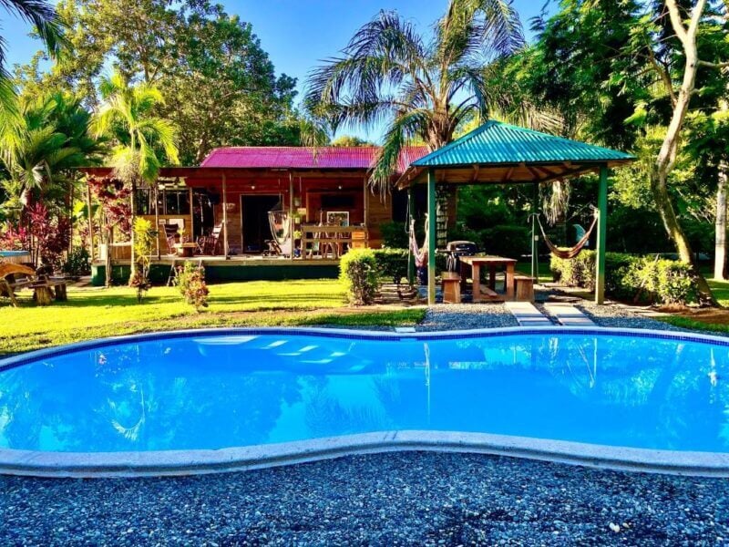 A Casa Mediterránea backyard with a swimming pool, a wooden house with a red roof, hammock, and covered patio area, all surrounded by lush green trees and plants under a clear blue sky.