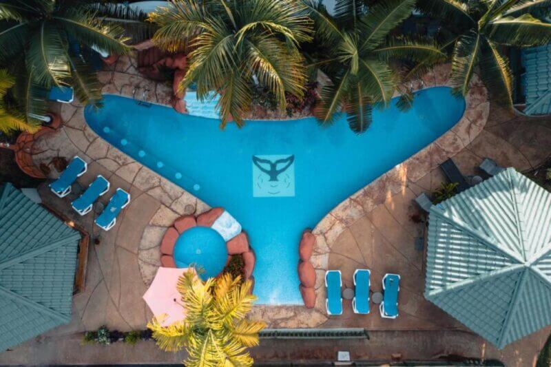 Aerial view of a Y-shaped swimming pool at Bungalows Ballena, surrounded by palm trees, lounge chairs, two gazebos, and a small round hot tub.