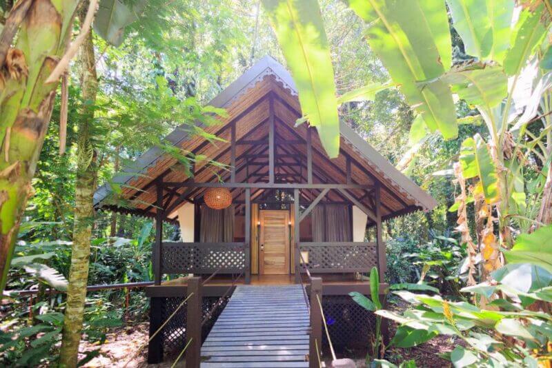A small wooden cabin with a porch and ramp is surrounded by dense tropical plants and trees at Almonds and Corals Lodge, Costa Rica, with sunlight filtering through the leaves.