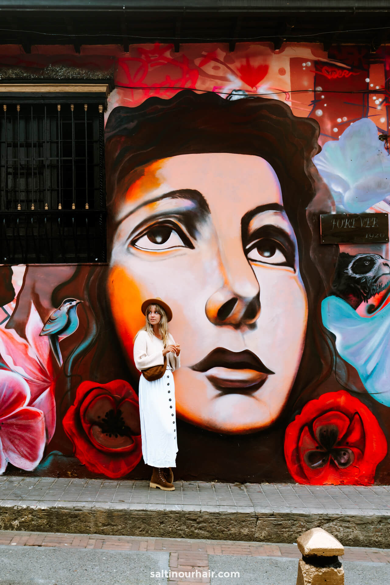 bogota street art tour