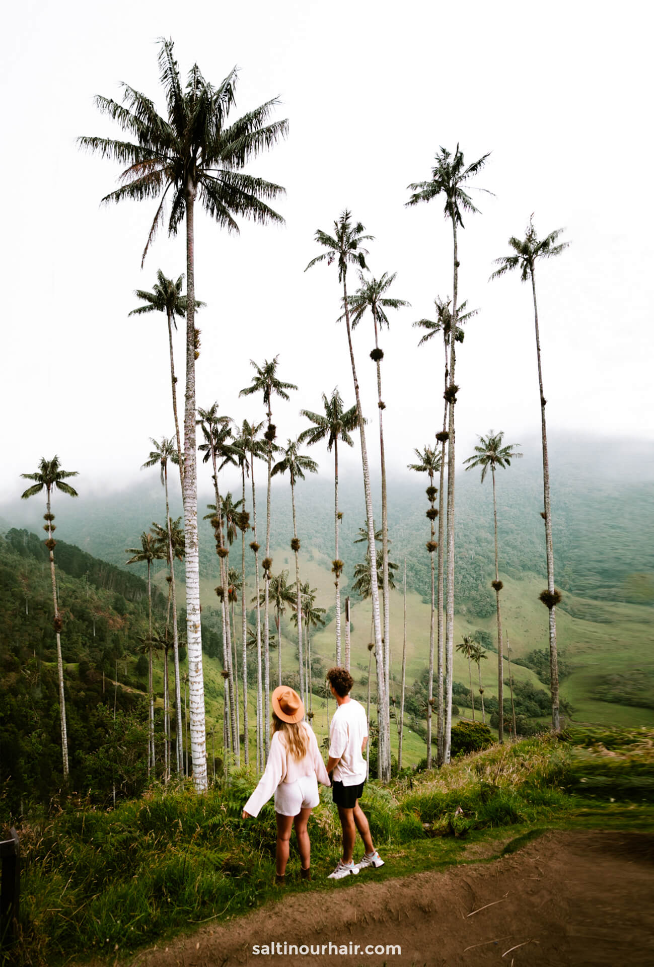 colombia 2-week itinerary salento cocora valley