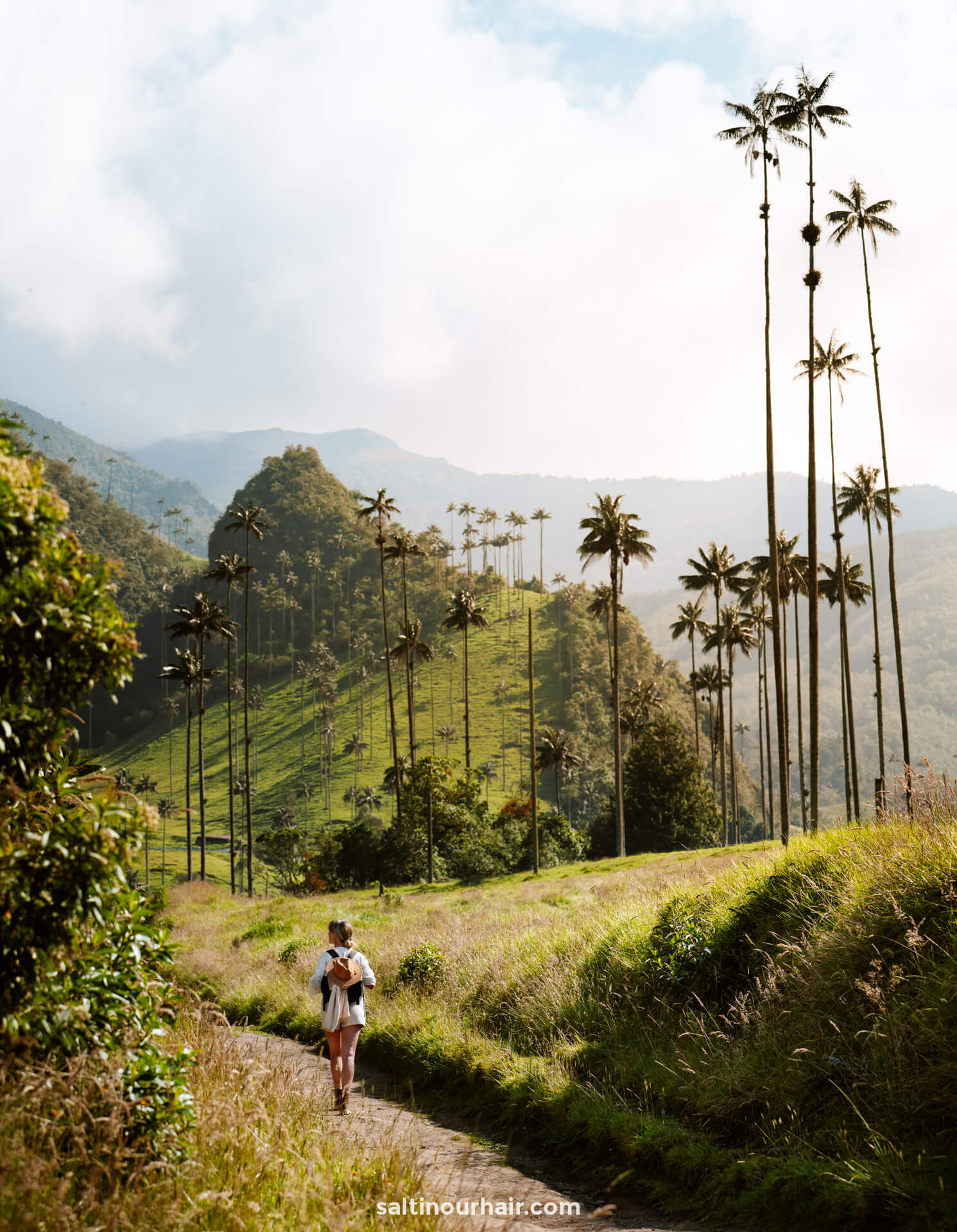 cocora valley hike trail colombia