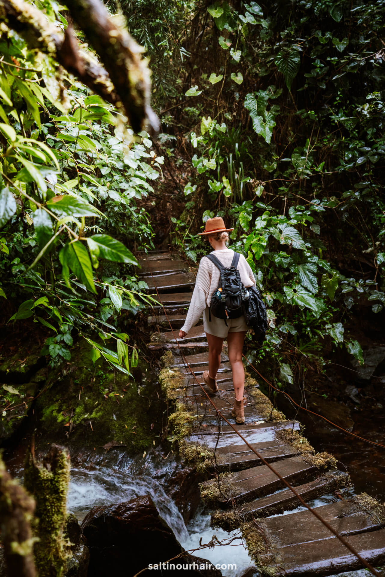 colombia 2-week itinerary hike cocora valley salento