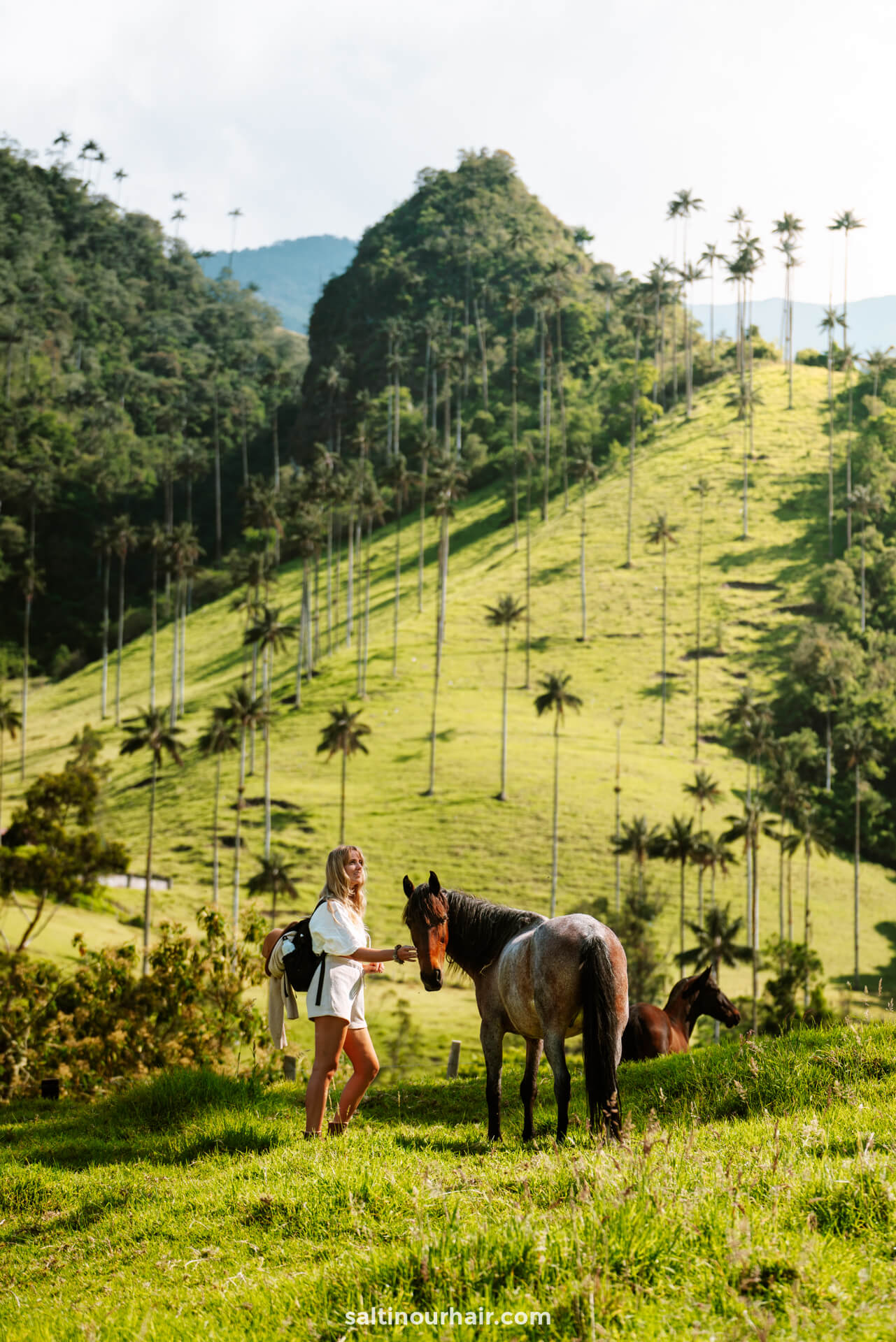horse riding cocora valley colombia