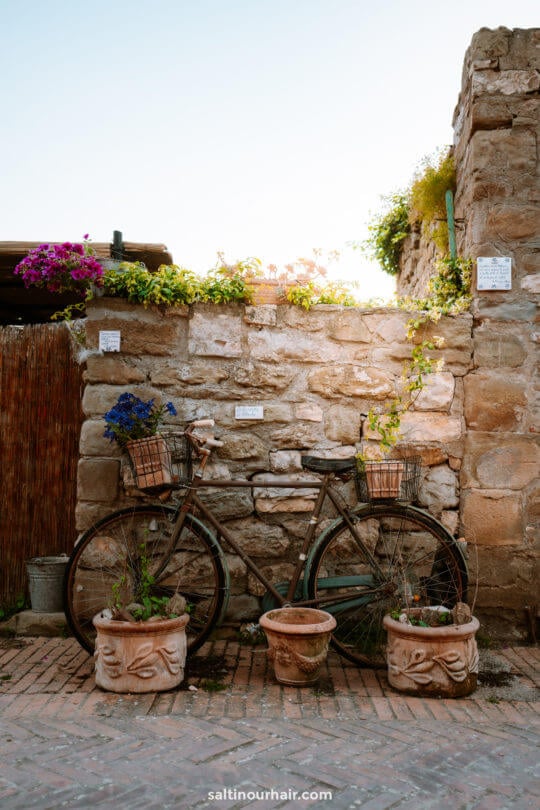 A vintage bicycle with flower baskets leans against a stone wall in Cortona, Tuscany, Italy, surrounded by potted plants on a cobblestone path.