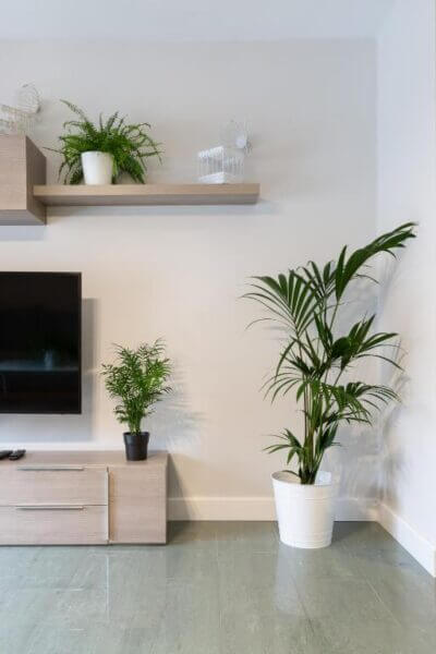 A modern living room in Apartamentos Circulo De Artistas features a wall-mounted TV, wooden cabinet, potted plants, a shelf with greenery, and decorative birdcages against a light-colored wall.