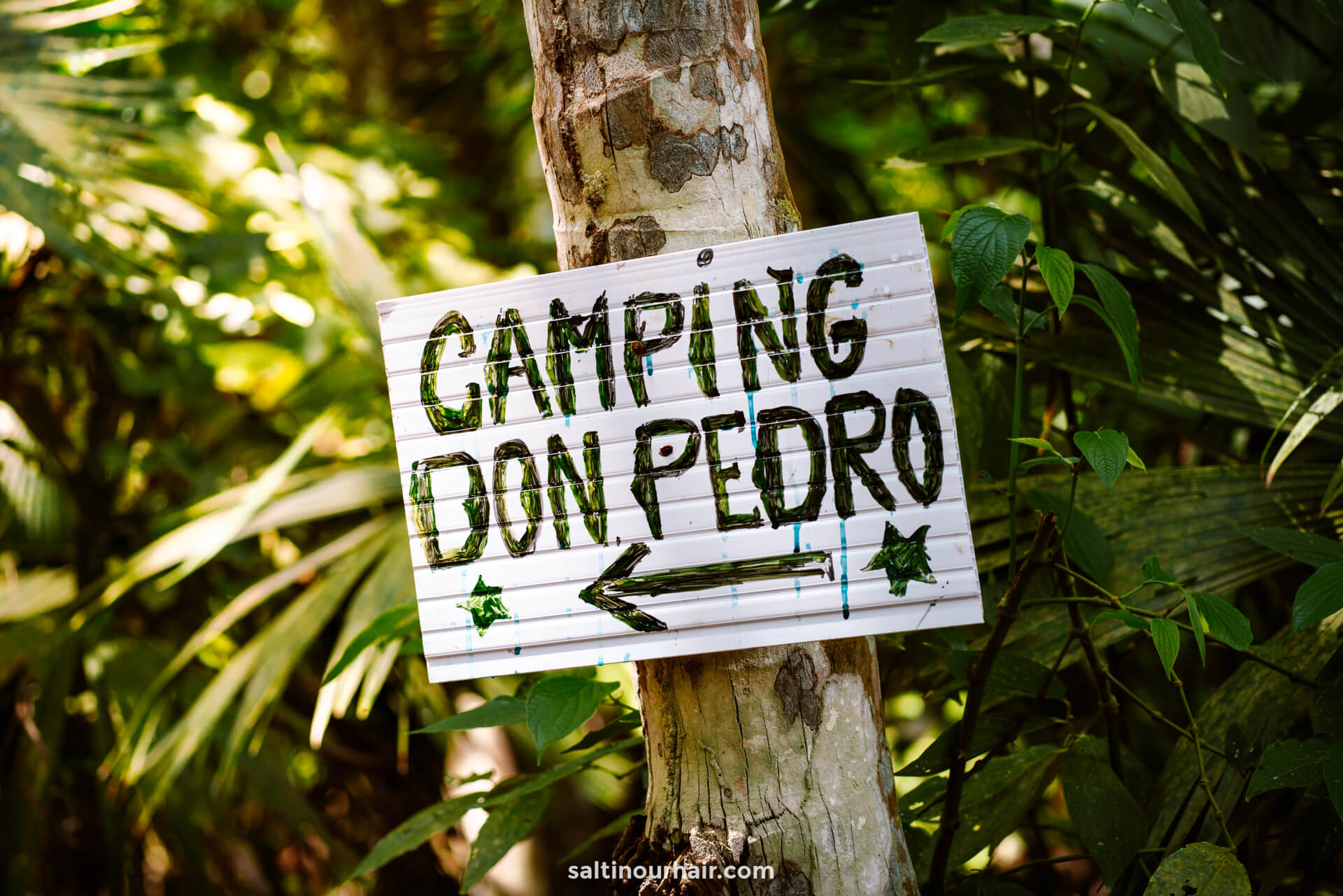 camping in tayrona national park colombia