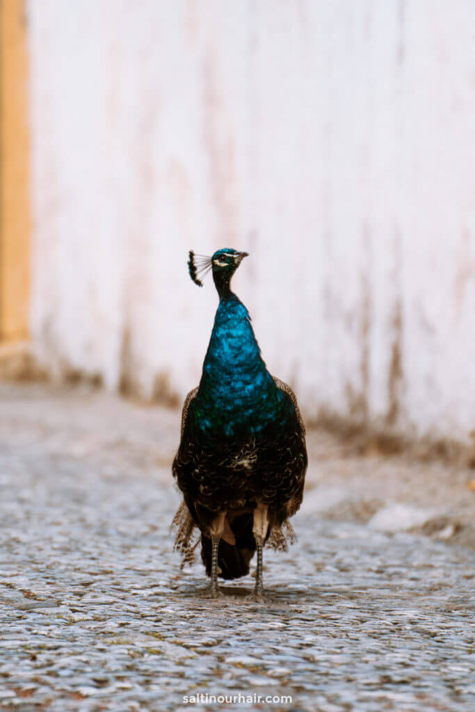 IS RONDA SPAIN SAFE visual data 2