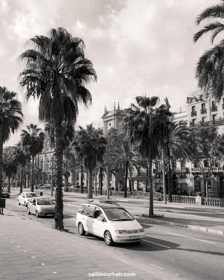 Renting a Car in Spain in 2024 all you need to know