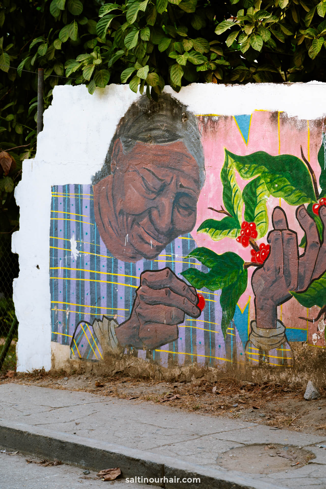 minca colombia street art