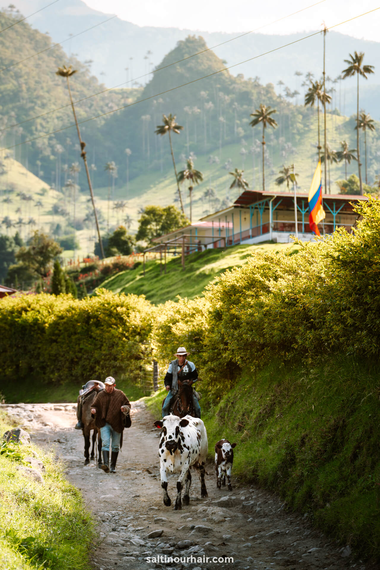colombia 2-week itinerary hiking trail cocora valley
