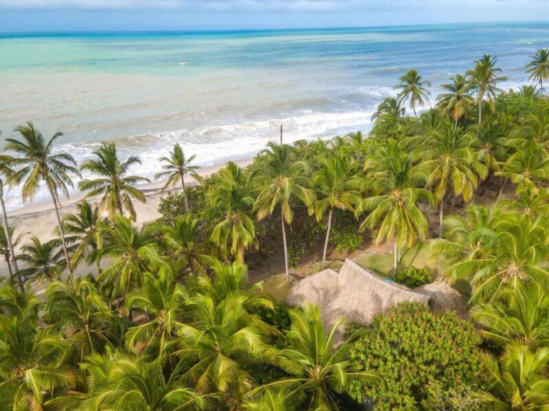 Aerial view of Senda Casalina Ecolodge in Palomino, with palm trees, a thatched-roof hut, and waves rolling onto the sandy shore under a cloudy sky.