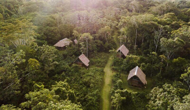 Aerial view of several thatched-roof huts scattered along a narrow path in a dense, green forest near Amak Iquitos Ecolodge, with sunlight streaming through the trees.