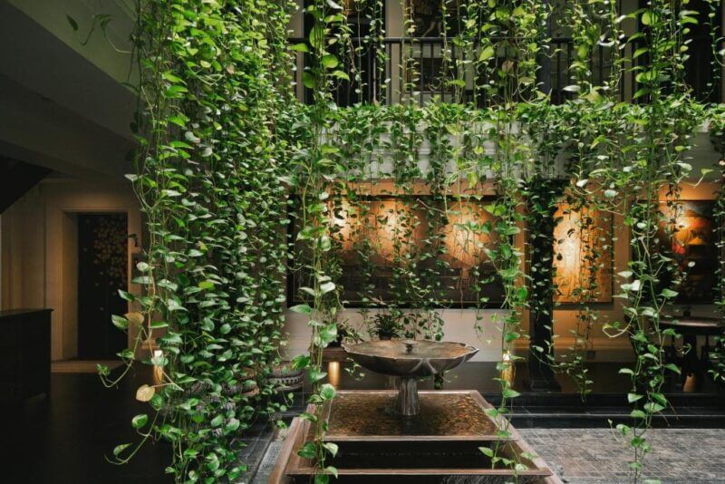 Indoor courtyard at Makkachiva Chiang Mai, a boutique hotel, features long hanging vines, a central water fountain, and soft lighting set against dark walls and curated artwork.