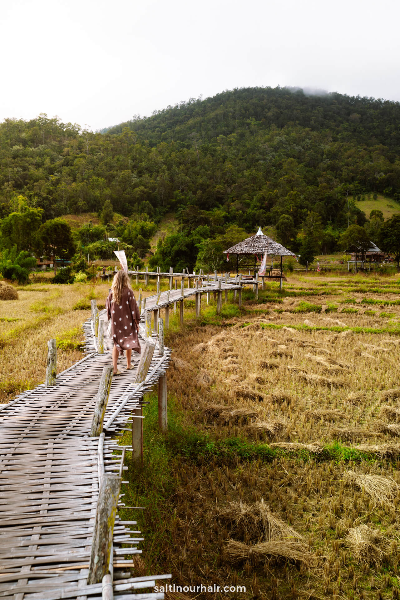 northern Thailand bamboo bridge pai