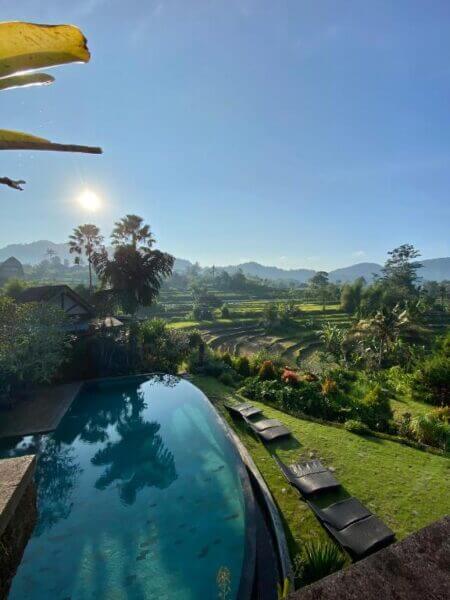 Infinity pool at Sawah Villa Sidemen overlooking lush green rice fields, tropical plants, and distant mountains under a clear blue sky with the sun shining.