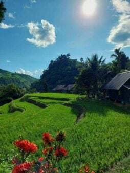 Kowit Farmstay