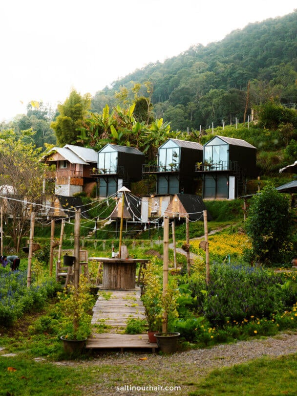 accommodation doi inthanon national park where to stay