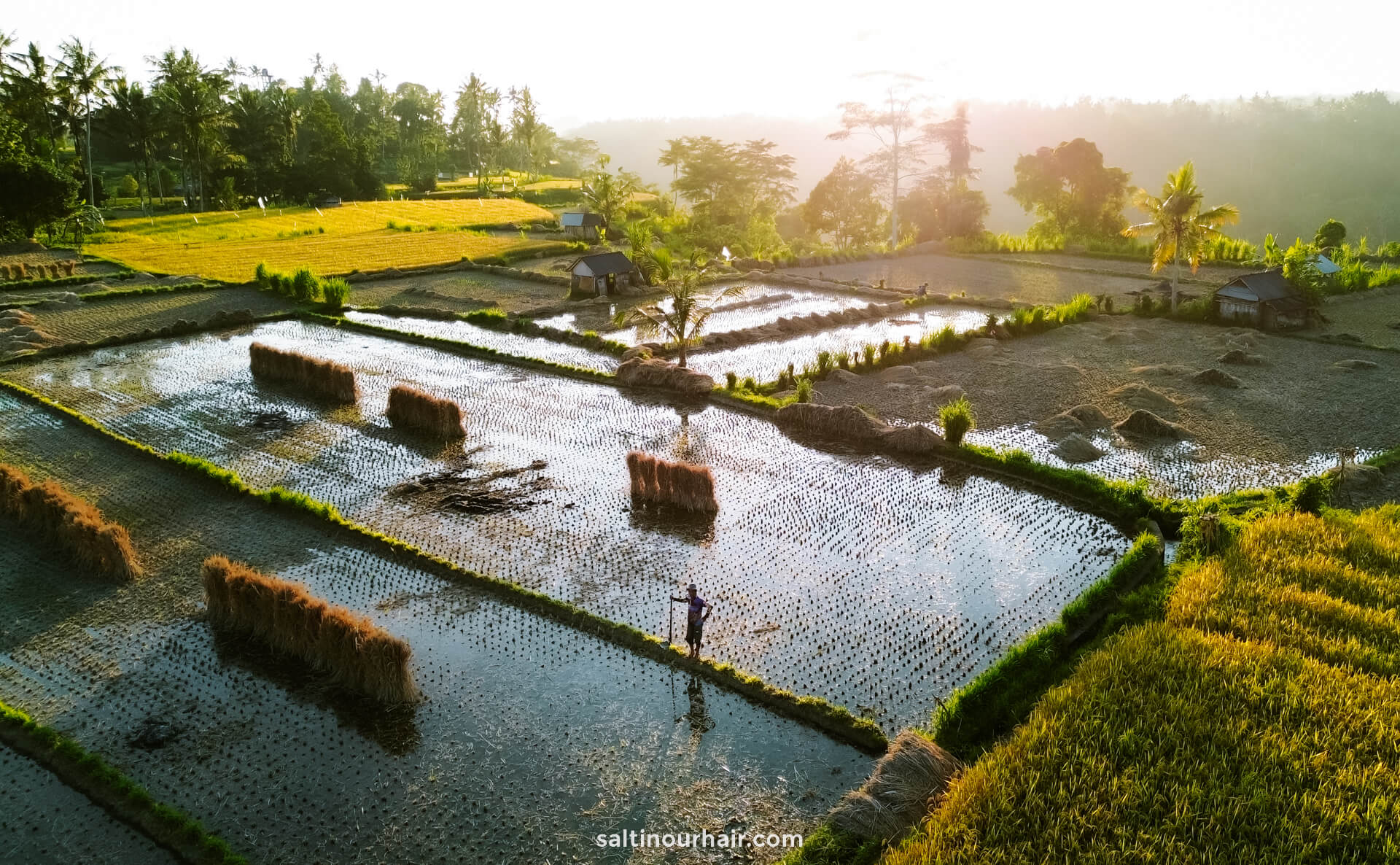 sidemen bali rice terraces drone