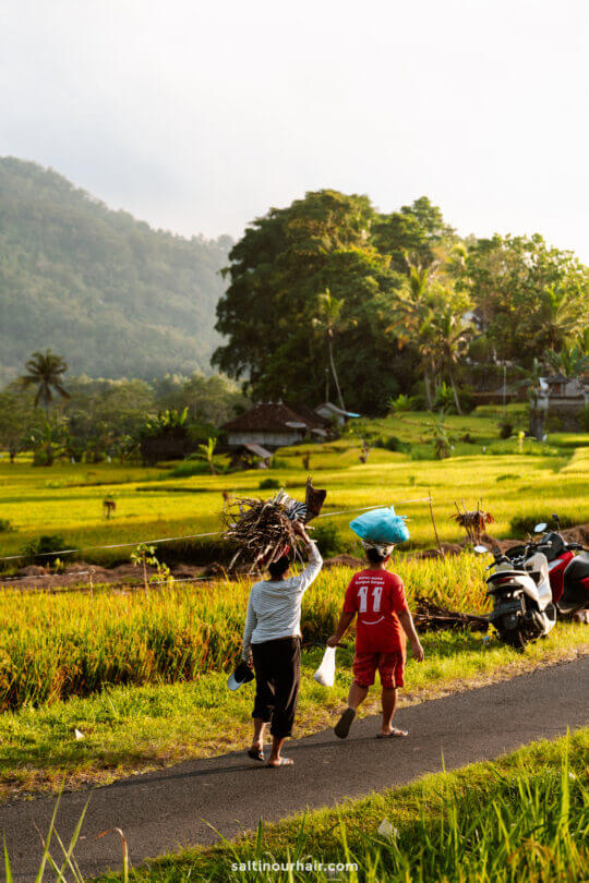 bali indonesia rice terraces locals