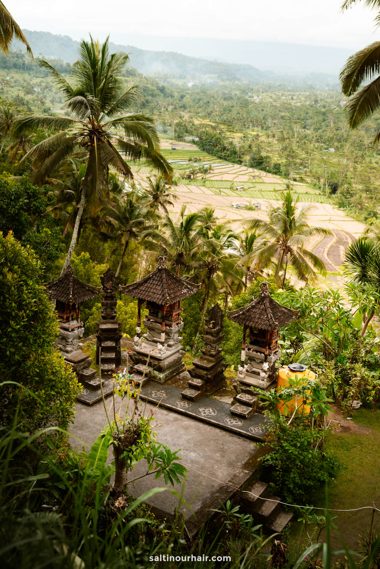 temple bali rice terrace view