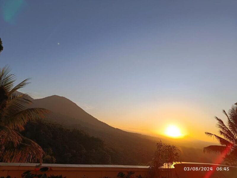 Sunrise over a forested Bali mountain with palm trees in the foreground; clear sky and timestamp indicating 03/08/2024 at 06:45, hinting at a serene morning perfect for enjoying Dwan Tea.