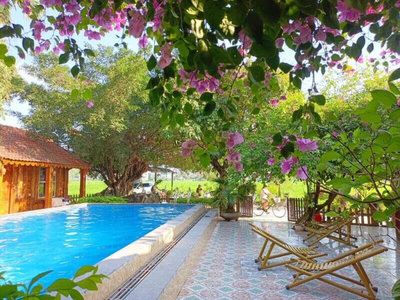 A swimming pool next to a tiled patio with lounge chairs, shaded by flowering trees, sits beside a wooden building at this inviting Tam Coc homestay.