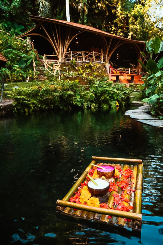 best bamboo houses in Bali bambu indah resort pool