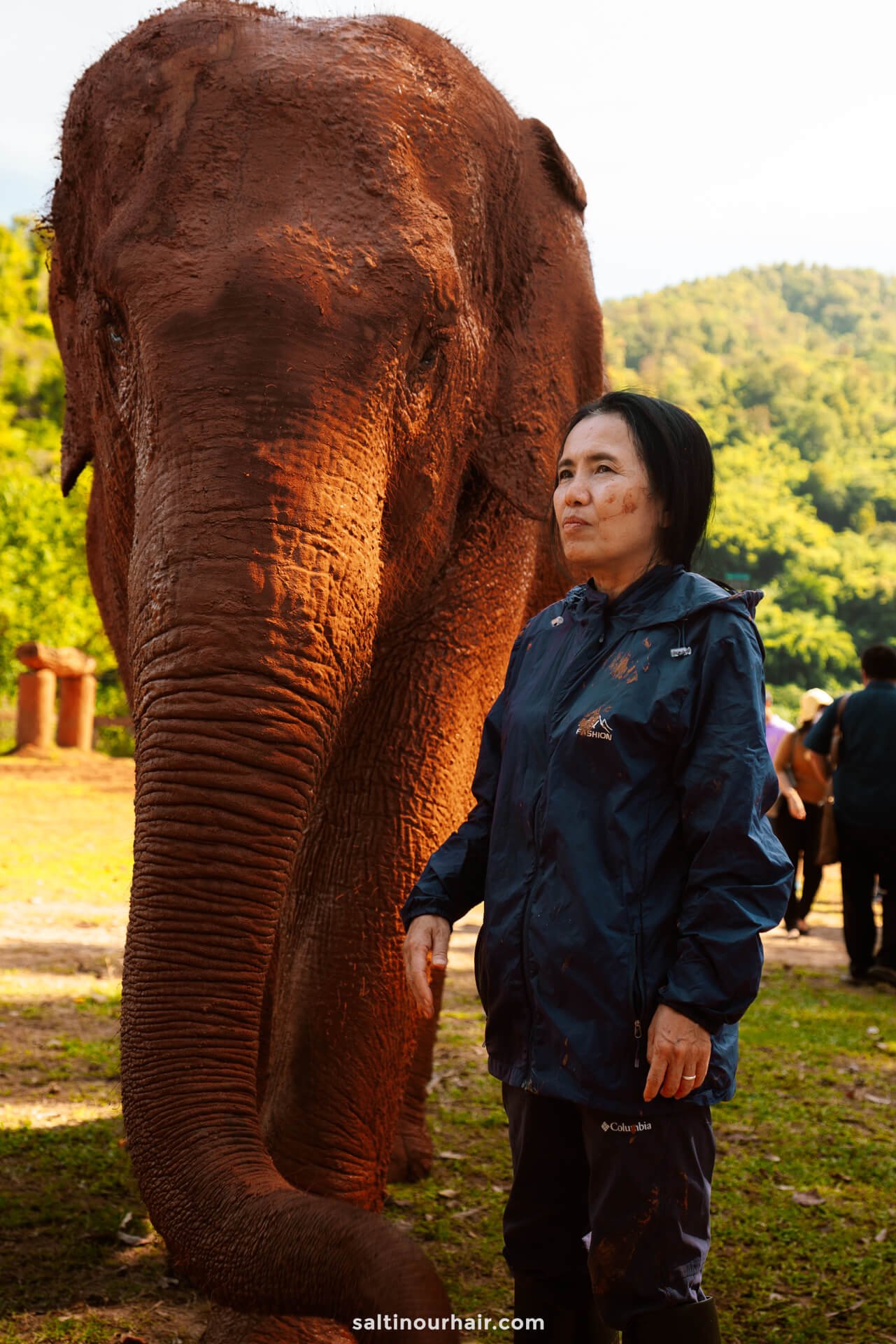 Elephant rescue and protection thailand Chiang Mai