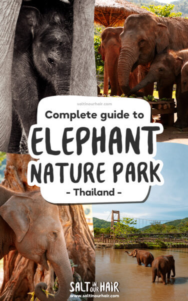 Visiting the Elephant Nature Park in Chiang Mai