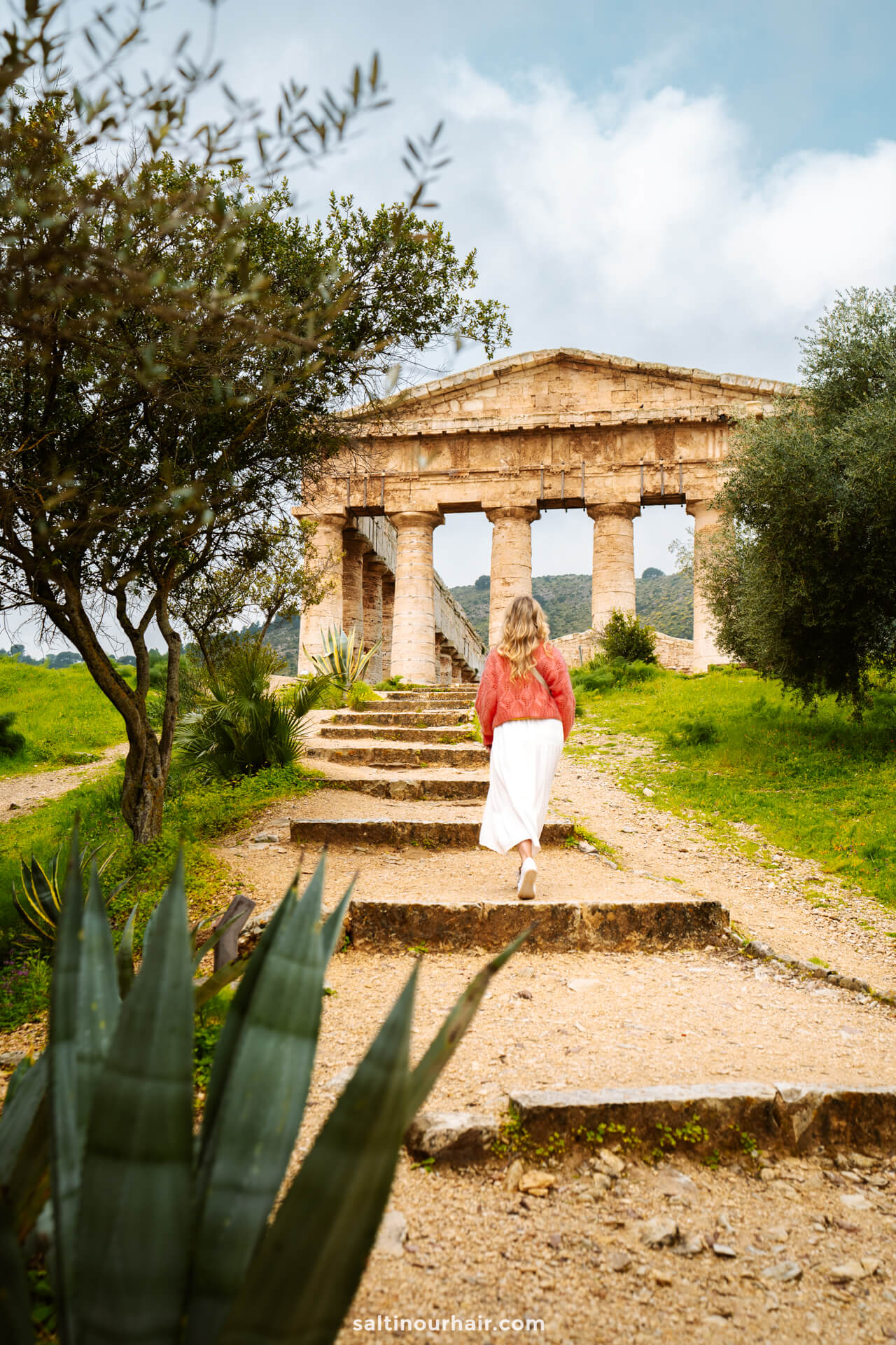 Visit the Temple of Segesta from palermo sicily