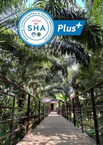 A narrow concrete walkway with metal railings leads through dense tropical foliage at Good View Resort, Khao Sok. The SHA Plus+ safety and health certification logo is displayed at the top of the image.