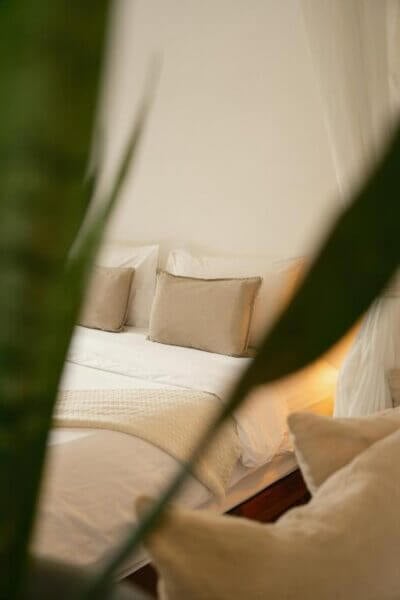 Neutral-toned bed with two beige pillows and white bedding at Big Tree Koh Tao, partially obscured by green plant leaves in the foreground.