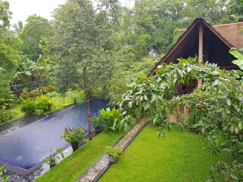 Tropical garden with a rectangular swimming pool, lush greenery, and a wooden house with a sloped roof on a rainy day, reminiscent of the tranquil ambiance found at Frangipane Sigiriya or an inviting Sigiriya hotel.