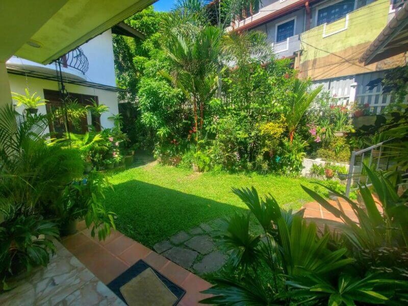 A small, sunlit garden with green grass, tropical plants, and stepping stones, this tranquil spot at Resort Beam Kandy is surrounded by neighboring houses and tiled pathways for a peaceful Kandy resort experience.