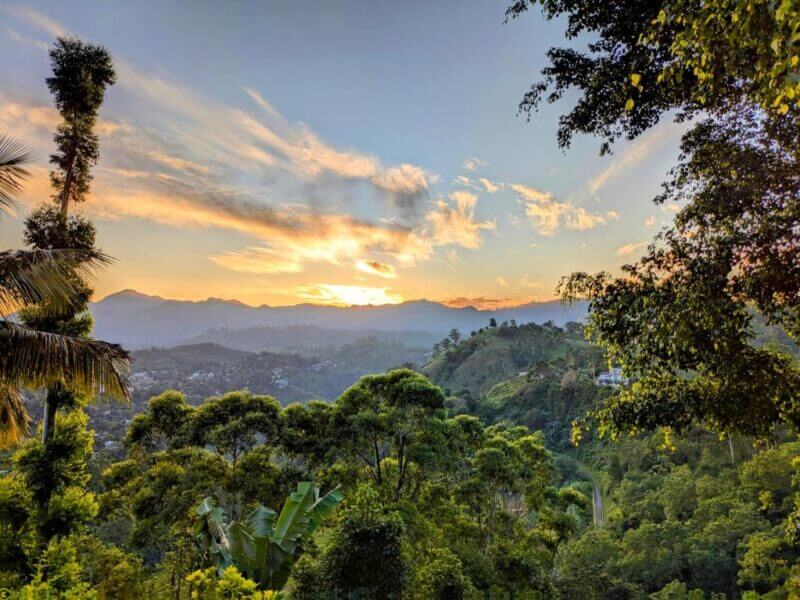 Sunrise over the lush, green slopes of Royal Mount Ella, with trees in the foreground and distant hills beneath a partly cloudy sky.