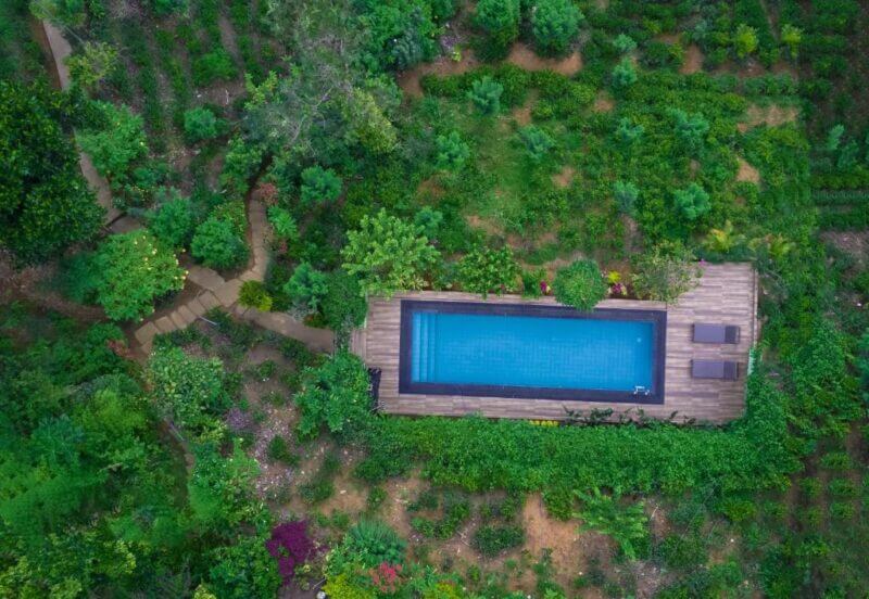 A rectangular swimming pool with two lounge chairs on a wooden deck is surrounded by dense green vegetation, viewed from above, creating a serene retreat reminiscent of the tranquility found at Tea Cabins Ella.