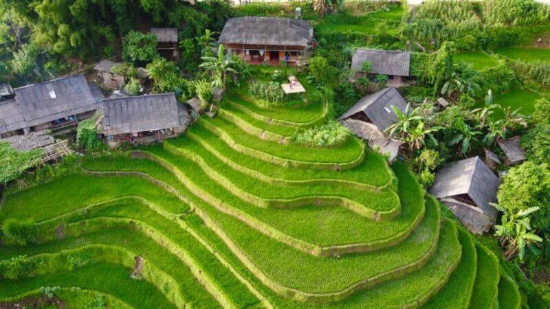 Aerial view of terraced rice fields in Sapa, with several wooden houses and lush green vegetation, perfect for a tranquil stay at My's Homestay.