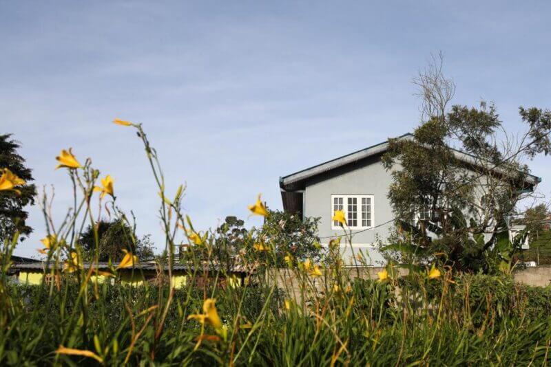 A gray house with white-trimmed windows stands behind a garden with yellow flowers and green foliage under a clear Pedro View Nuwara sky.