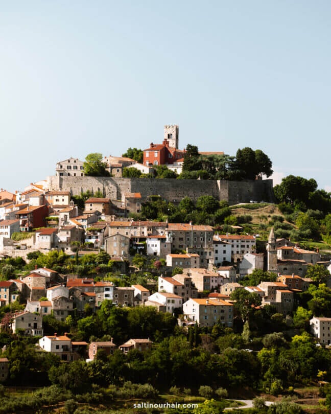 A hilltop village with stone buildings and red-tiled roofs, surrounded by greenery, featuring a prominent church tower at the summit&mdash;Motovun is a highlight on any 3-week Croatia itinerary.
