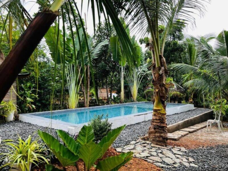 A rectangular swimming pool surrounded by tropical plants, palm trees, and gravel at a cozy homestay on Bohol Island, with two plastic chairs nearby.