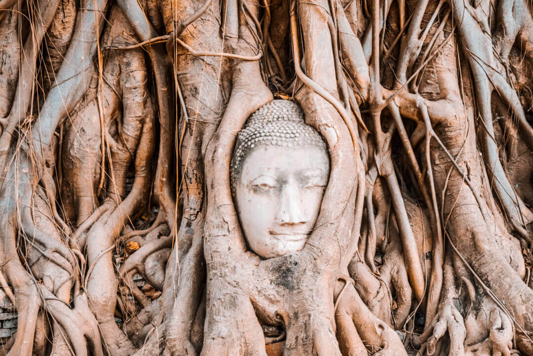 places to visit in Thailand Ayutthaya buddha head